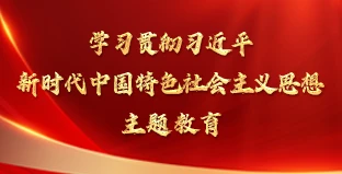 学习贯彻习近平新时代中国特色社会主义思想主题教育