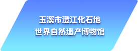 玉溪市澄江化石地世界自然遗产博物馆