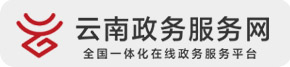 云南政务服务网