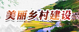 美丽乡村建设