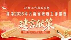 我为2026年云南省政府工作报告建言献策